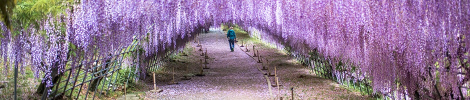 南加福岡県人会